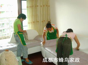 雙流保潔公司 專業(yè)清洗油煙機(jī)，守護(hù)廚房健康環(huán)境